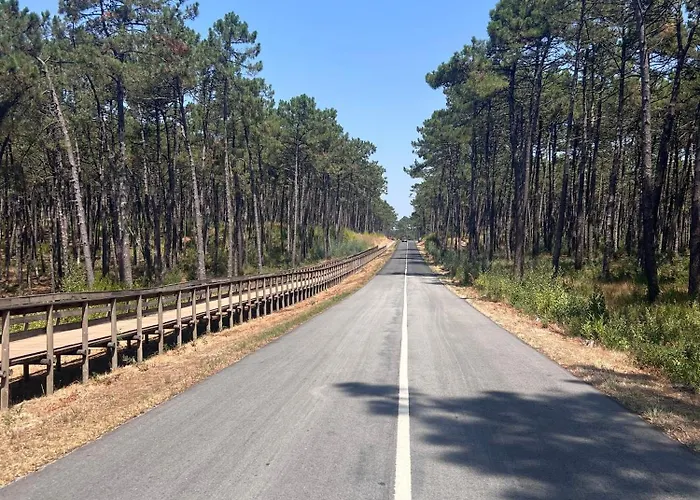 Paradise In Furadouro *