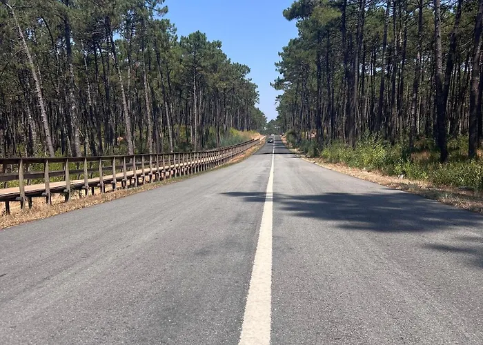 Paradise In Furadouro * Ovar